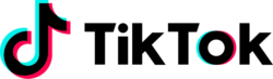 TikTok Logo