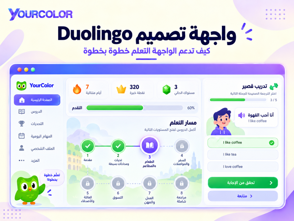 واجهة تصميم دولينجو Duolingo واجهة تصميم دولينجو Duolingo